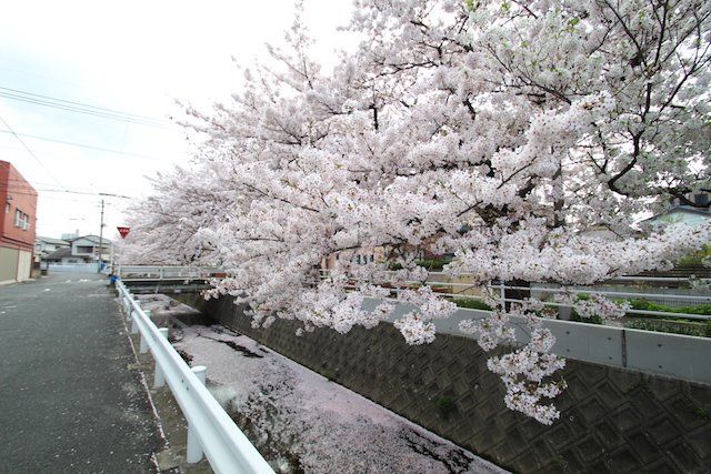 近くに施設あり