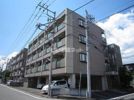 ヴィラ秋留野の間取り画像