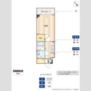 Alivis東瑞江の間取り画像