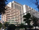 スターコート豊洲の間取り画像