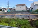 みかんの外観