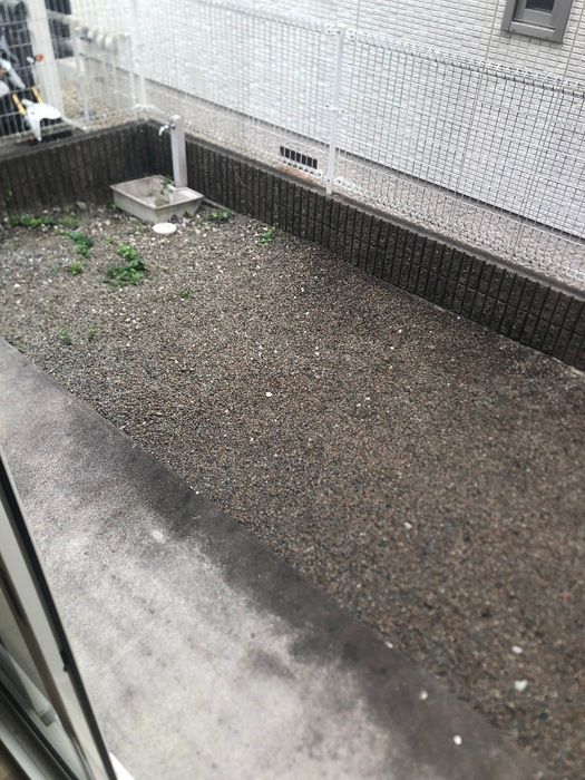 庭