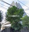ラフィスタ川崎Ⅱの外観画像