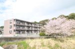 ルミエール21の間取り画像