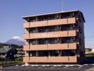シャラの外観