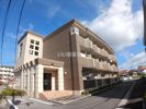 ジュネスの間取り画像