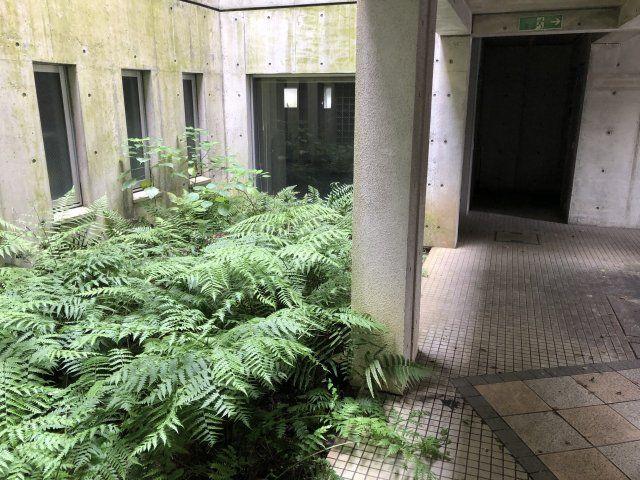 庭