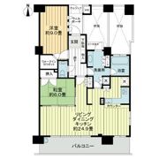 サンクタス四条烏丸スティーロレジデンスの間取り画像