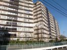 コンドミニアム坂戸の間取り画像