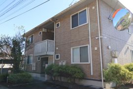 アガパンサスの外観画像