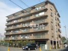エクセレント鵠沼の間取り画像
