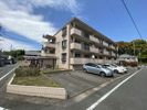 エミューデコンフォートの間取り画像