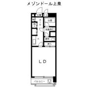 メゾンドール上泉の間取り画像