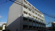 Racoon D3の間取り画像