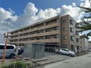ロイヤルコート山王の間取り画像