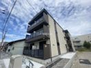 D porta paceの外観