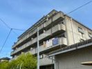 ガーデンハイツ香芝の間取り画像