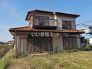 伊藤邸貸家の間取り画像