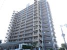 パラッシオ小田原弐番館1004号室の間取り画像