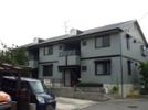 エクセレント藤の間取り画像