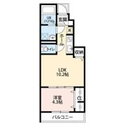アムール アピスの間取り画像
