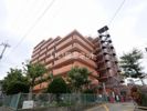 ライオンズマンション高槻の間取り画像