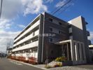 槻（ケヤキ）の間取り画像