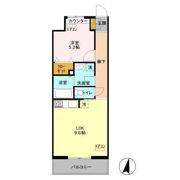 エキスポコンフォート Ⅱの間取り画像