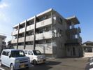 IVY SQUAREの間取り画像