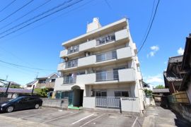 坂井戸マンションの外観画像