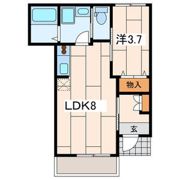 サンセベリアの間取り画像