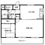 メゾン惟信の間取り画像