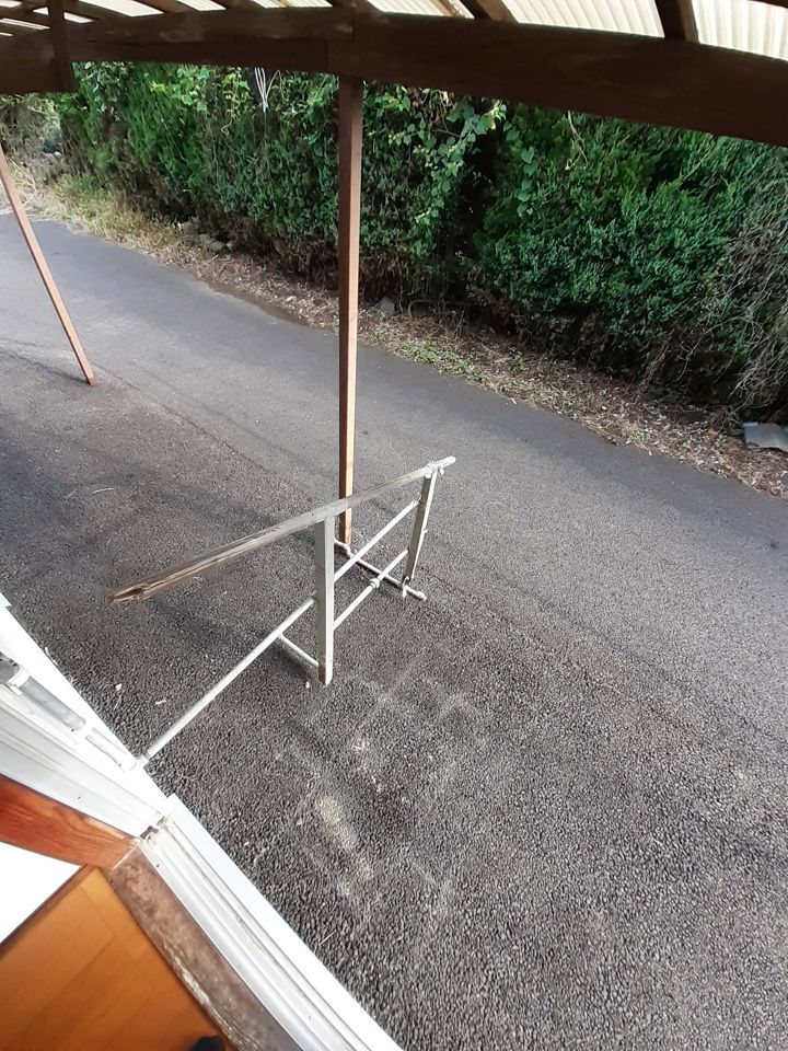庭