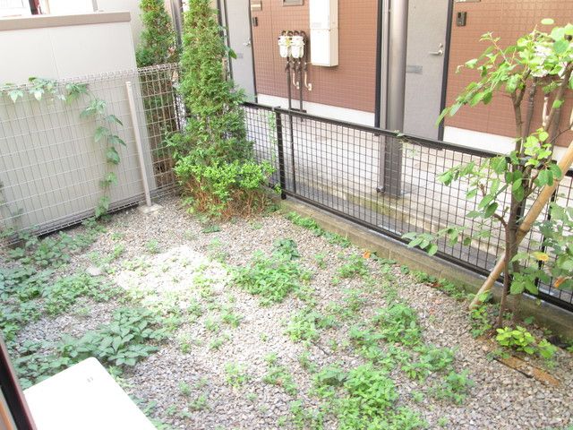 庭