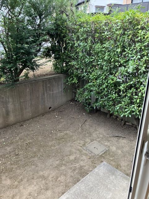 庭