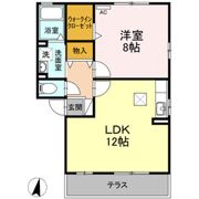 カレーラの間取り画像