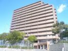 ライオンズヒルズ牛田早稲田の間取り画像
