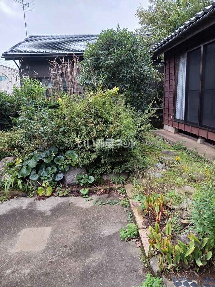 庭
