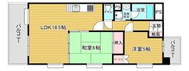 リファレンス箱崎の間取り画像