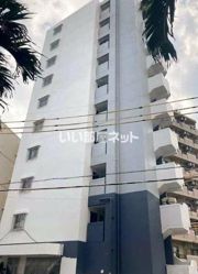 フルフィールタイパナの外観画像