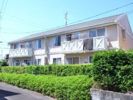 アメニティー住吉Eの間取り画像