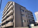 日神パレステージ武蔵関の間取り画像