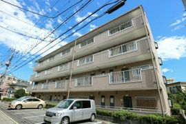 キャステルマンション仲町の外観画像