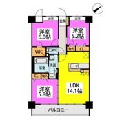 シグレア下大利の間取り画像