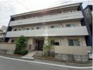 ベレオM.Oの間取り画像