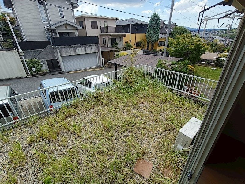 庭