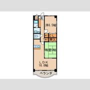 シャトーディネゾーの間取り画像