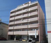 グレースマンションエルフの外観画像