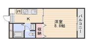 ディアスUⅢの間取り画像
