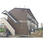 アムールもみの木の外観画像